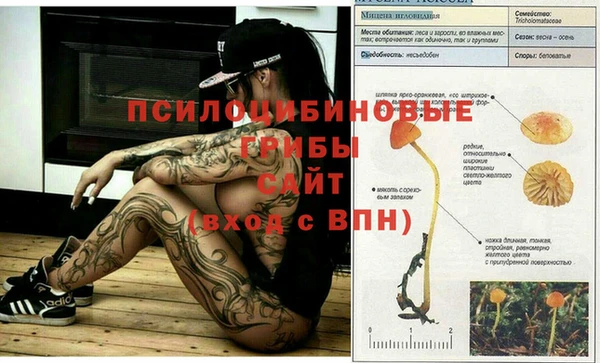 spice Покров